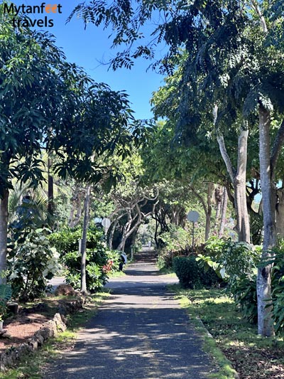 10 days in hawaii itinerary pipeline